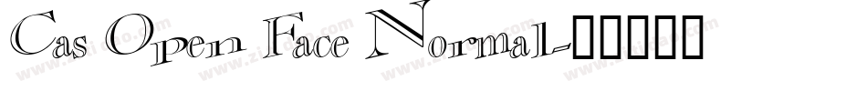 Cas Open Face Normal字体转换